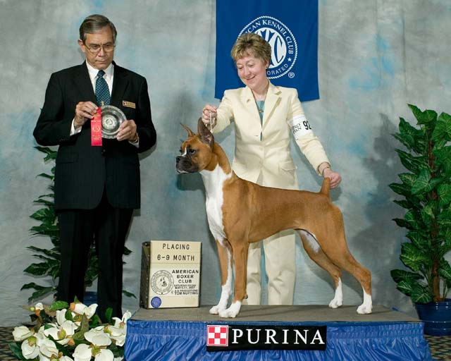 Molly's 2nd place in the 6-9 Month Class at the 2007 ABC
